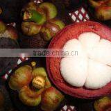 Mangosteen thumbnail-3