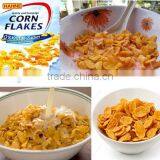 Corn Flakes Breakfast Cereal Making Machine thumbnail-4