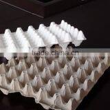 Paper Pulp Moulding Egg Tray Production Line thumbnail-2