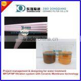 MF Microfiltration Ceramic Filter Element for Apple Juice Filtration