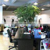 Ningbo Yinzhou Bangjin International Trade Co., Ltd. company overview - view 1 thumbnail