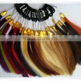 Human Hair Color Chart thumbnail-1