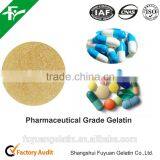Pharmaceutical Gelatin Good for Gelatin Sponge