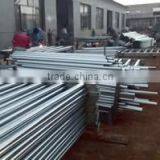 Clear Empty PET Plastic Honey Squeeze Bottle thumbnail-4