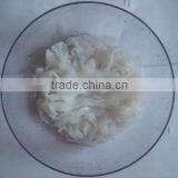 Low Price Gluten Free Konjac Noodles Fettuccine With Clear Lines