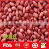 Peanut Kernel in Red Shell for Wholesale thumbnail-3