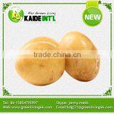 Best Fresh Potatoes New Price 2016 thumbnail-2