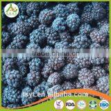 Asian Frozen Vegetables and Fruits Iqf Frozen Blackberry thumbnail-2