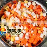 Practical Multi-functional Root Vegetable Cutter Dicing Machine and Leaf Vegetable Cutting Machine thumbnail-5