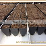 Golden Expanded Vermiculite for horticulture