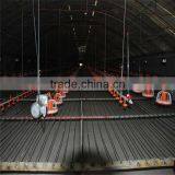 Automatic Feeding System Broiler Farm thumbnail-2