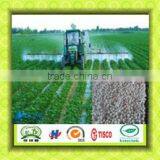 Nitrogenous Manure, N46 Urea Agricultural Grade thumbnail-2