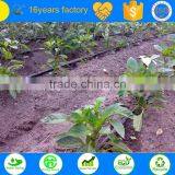 Hot Selling Agriculture Farm Land Drip Irrigation Hose thumbnail-3
