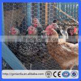 Hexagonal Hole Shape Q195 Galvanized Iron Wire Hexagonal Wire Netting(Guangzhou Factory) thumbnail-1