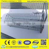 Professional Manufacturer of Mink Metal Cage thumbnail-6