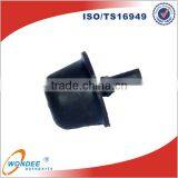 Rubber Bushes thumbnail-1