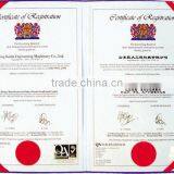 Agricultural Equipment China Yantai Mini Dumper thumbnail-6