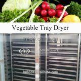 Fruit & Vegetable Processing Machines thumbnail-2