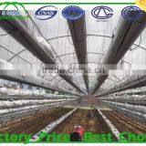 China Supplier Galvanized Round Steel Pipe For Greenhouse Frame thumbnail-5