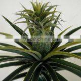 Single Pineapple Plant Artificial Decorative Plant Wholesale thumbnail-3