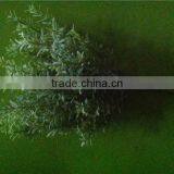 Home and Outdoor Garden Edging Christmas Decoration 60cm or 24inches Height Artificial Small Grass for Green Wall E04 1033 thumbnail-6