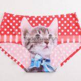 2017 Manufacturer Customized Your Own Brand Design Funny Cute 3D Print 95%Modal 5%Spandex Private Label Women Underwear thumbnail-5