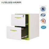 RayBol Custom Steel Filing Cabinets of Military Equipment 2 Drawer File Cabinet thumbnail-2