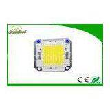 RA80 30Watt Epistar High-power integrated LED 110LM/W Nature White 4500K