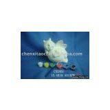 DIY Ceramic Bee Coin Bank thumbnail-1