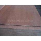 Commercial Plywood/ Waterproof Marine Plywood for Furniture