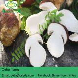 Porcini Porcino Slices Dried Mushrooms thumbnail-2