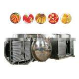 Freeze-dried Mushroom Lyophilizer Fruit Vegetable Vacuum Freeze Dryer Machine thumbnail-2