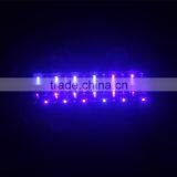 Red/blue/ White/UV Emitting Color SP600 Full Spectrum LED Grow Light for Indoor Plant Growing thumbnail-4