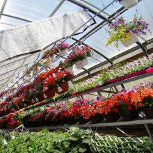 2025 Top Quality Greenhouse Climate Screen For At Least 5 Years Using Life thumbnail-4