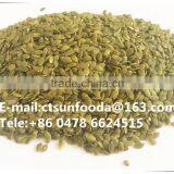 Chinese Pumpkin Seed Without Shell, Market Price With Good Quality thumbnail-1