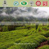 Organic Refined Chinese Gift Tea Tonic Tea Keemun Black Tea (kungfu) KB01 for Export thumbnail-6