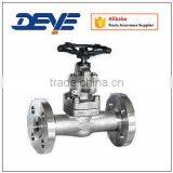 Stainless Steel Forged Globe Valve With Flange Ends 900LBS 1500LBS