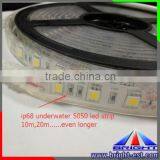 5050 Strip Swimming Pool Led Strip Lighting,High Brightness Led Strips 5050 RGB Underwater Ip68 thumbnail-5