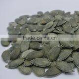 Agriculture Different Types of Pumpkin Seeds Kernel& Pumpkin Seeds GWS /Dark Green Pumpkin Seeds Grown Without Shell thumbnail-3