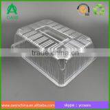 Transparent PS PP PET Disposable Plastic Vegetable Tray Tomato Tray thumbnail-5