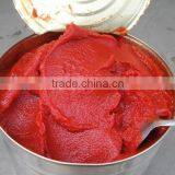 Canned Tomato Paste 800g*12tins With Easy Open Lid or Normal Lid thumbnail-3