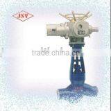 Electric Globe Valve thumbnail-1