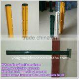 Beutiful Peach Post Manufacture