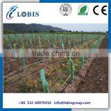 Green Color Triangle Pattern Tree Guard