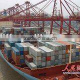 LOGISTICS SERVICE BLUFF