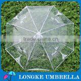 Transparent PVC Folding Umbrella
