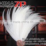 Top Supplier CHINAZP Bulk Sale Good Quality Wonderful Bleached White Long Silver Pheasant Tail Feathers Right thumbnail-3