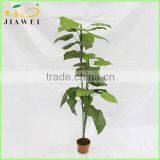 Decorative Artificial Plastic Scindapsus Palnt Tree for Sale