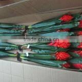 Artificial Plant Real Touch