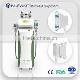 Local Fat Removal 2015 Cryolipolysis Cryotherapy 220 / 110V Beauty Equipment Fat Freeze Slimming Machine thumbnail-1